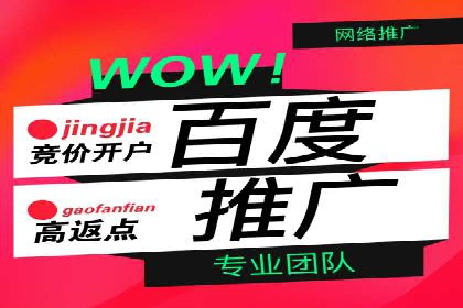 SEM外包策略在电商平台的成功案例